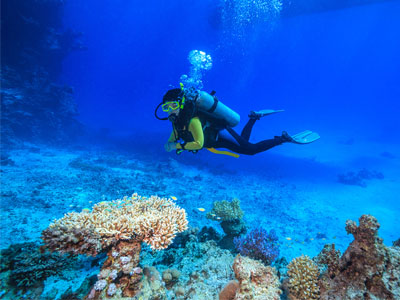 diving-and-snorkeling-in-sri-lanka-haya-lanka