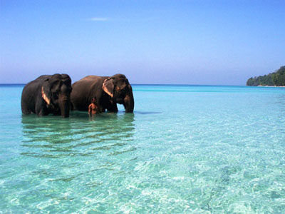 elephant-bath-tangalle-beach-haya-lanka