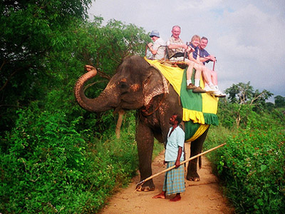 elephant-safari-habarana-srilanka-hayalanka