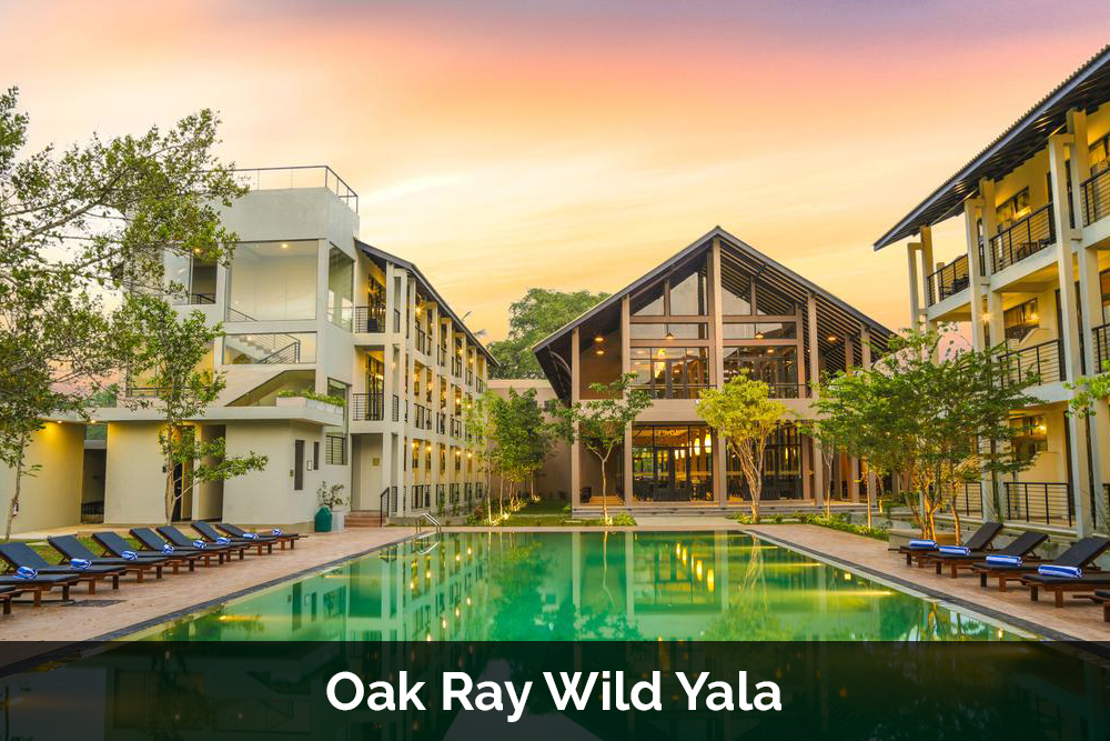 Oak Ray Wild Yala