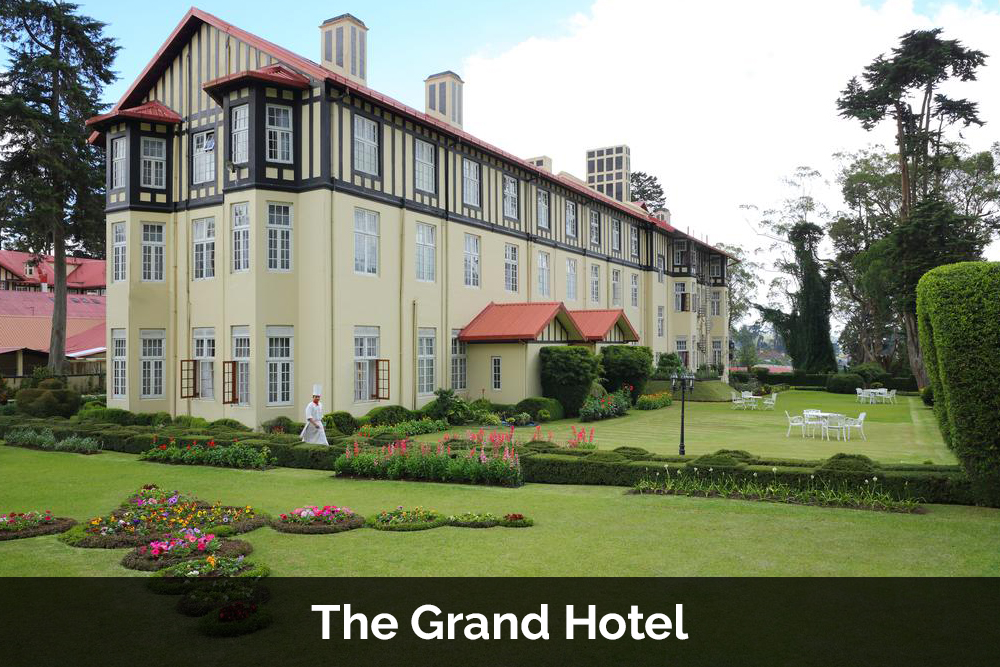 the grand hotel